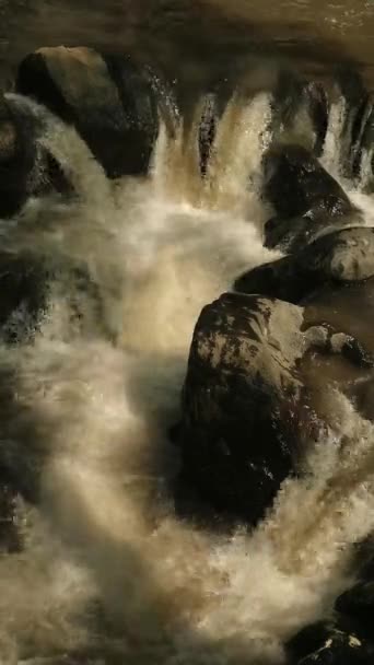Víz Folyik Sziklás Folyóban Édesvízi Táj Gyógyuláshoz — Stock videók