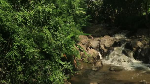 Agua Que Fluye Río Rocoso Paisaje Agua Dulce Para Curación — Vídeos de Stock