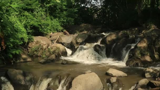 Water Stroomt Een Rotsachtige Rivier Zoet Water Landschap Voor Genezing — Stockvideo
