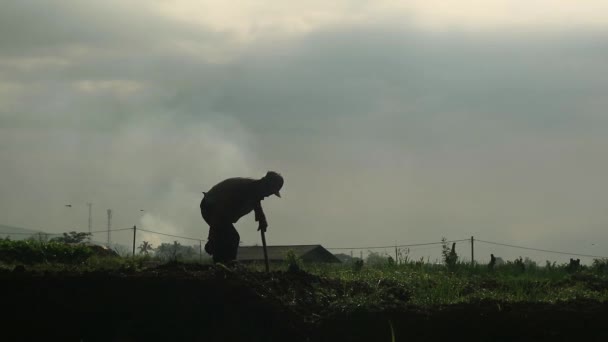Silhouette Eines Bauern Der Morgens Mit Der Hacke Auf Dem — Stockvideo