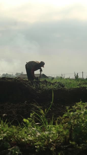 Silhouette Farmer Working Hoe Field Morning — Stock Video
