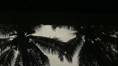 Şiddetli yağmur damlaları desenli zemindeki su birikintilerine düşüyor.