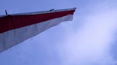 Endonezya bağımsızlık günü kutlamaları sırasında mavi gökyüzü arkaplanlı kırmızı ve beyaz flamalar, boşluğu kopyala