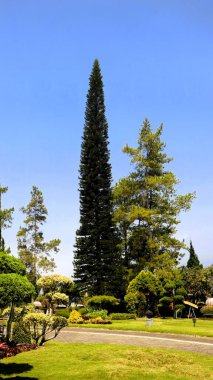 Yeşil ağaçlarla çevrili park gösteriler için basit bir sahneye sahip. 