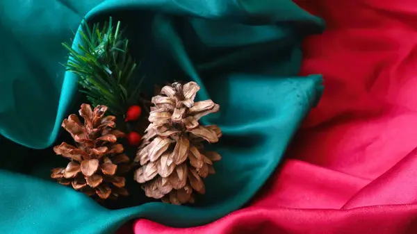 Kurumuş çam çiçekleri, şirin noel ağaçları ve yeşil ve kırmızı arka planda köknar yaprakları.