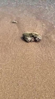 Sahildeki küçük dalgalar, kıyıdaki küçük dalgalar. Sakin ve sığ sularda hafif dalgalar dans etti. Yumuşak, mırıltılı dalgalar yatıştırıcı bir ninni yarattı. Kondang Merak Sahili, Malang, Doğu Java Endonezya