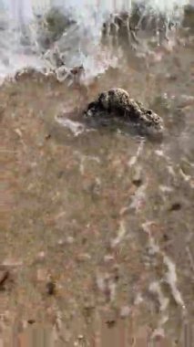 Sahildeki küçük dalgalar, kıyıdaki küçük dalgalar. Sakin ve sığ sularda hafif dalgalar dans etti. Yumuşak, mırıltılı dalgalar yatıştırıcı bir ninni yarattı. Kondang Merak Sahili, Malang, Doğu Java Endonezya