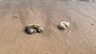 Sahildeki küçük dalgaların 4K videosu, kıyıdaki küçük dalgalar. Sakin ve sığ sularda hafif dalgalar dans etti. Malang Endonezya 'daki Kondang Merak Sahili