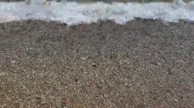 Sahildeki küçük dalgaların 4K videosu, kıyıdaki küçük dalgalar. Sakin ve sığ sularda hafif dalgalar dans etti. Malang Endonezya 'daki Kondang Merak Sahili