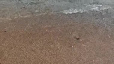 Sahildeki küçük dalgaların 4K videosu, kıyıdaki küçük dalgalar. Sakin ve sığ sularda hafif dalgalar dans etti. Malang Endonezya 'daki Kondang Merak Sahili