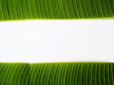 Green banana leaf isolated white background highlights the organic textured backdrop, providing copy space for text or images, perfect for promoting traditional cuisine. clipart