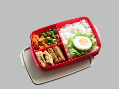 Dengeli, sağlıklı bir pirinç, yumurta, kızartılmış sebze ve tofu-tempeh yemeği, meşgul öğrenciler ve ofis çalışanları için uygundur. Prabowo 'nun Endonezya' daki öğle yemeği programı bir beslenme çantasında servis edildi..