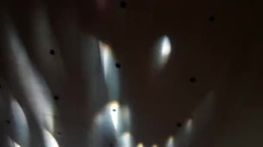 Canlı sahne ışıkları, renkli ışınlar, soyut ışık arkaplanı, fütüristik modern reklam konsepti, konser sahnesi ışıkları efekti, parlak renkli spot ışıkları ile bir akşam konserinde heyecan verici bir atmosfer yaratır.