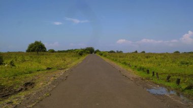 Uçsuz bucaksız ve kurak bir ovanın ortasında mavi gökyüzü arka planı, Baluran Ulusal Parkı, Doğu Java Endonezya