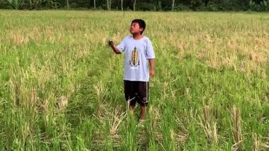 Endonezyalı çocuklar E alanında uçurtma uçuruyor, yaz mevsiminde kırsal aktiviteler, neşeli birliktelik kavramı