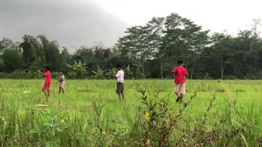 Endonezyalı çocuklar E alanında uçurtma uçuruyor, yaz mevsiminde kırsal aktiviteler, neşeli birliktelik kavramı