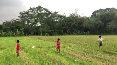 Endonezyalı çocuklar E alanında uçurtma uçuruyor, yaz mevsiminde kırsal aktiviteler, neşeli birliktelik kavramı