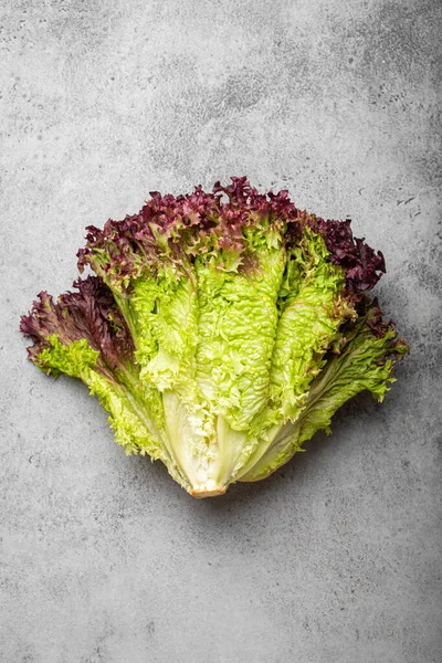 Salade Laitue Lolo Rosso Crue Fraîche Biologique Sur Fond Pierre — Photo