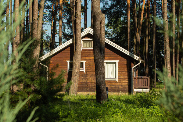 Cozy small wooden house cottage in a pines forest in summer. Rustic tranquil cabin retreat on nature rural area.