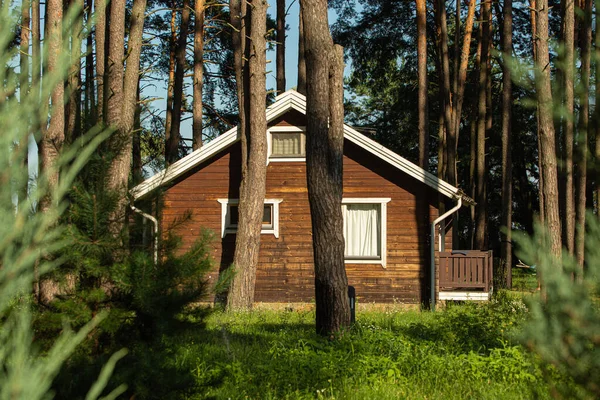 Confortable Petite Maison Bois Dans Une Forêt Pins Été Retraite Photos De Stock Libres De Droits