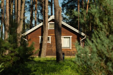 Cozy small wooden house cottage in a pines forest in summer. Rustic tranquil cabin retreat on nature rural area. clipart