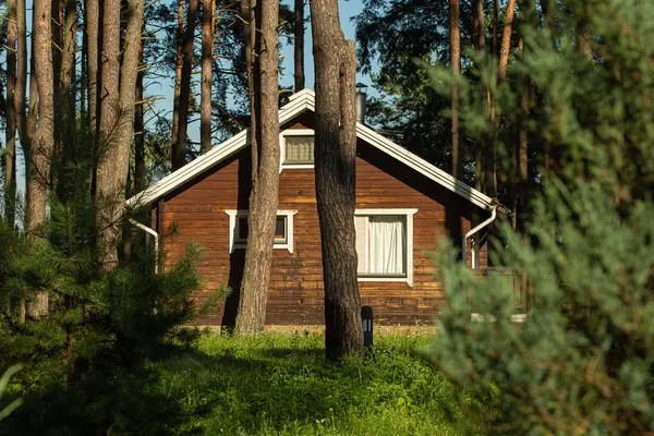 Gemütliches Kleines Holzhaus Einem Kiefernwald Sommer Rustikaler Rückzugsort Auf Dem lizenzfreie Stockbilder