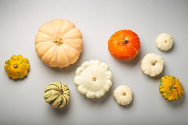 Açık gri arka plan görünümlü farklı kabaklarla Şükran Günü veya sonbahar kompozisyonu..