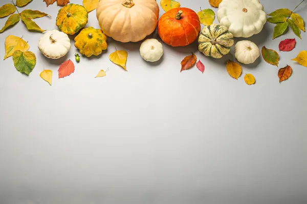 Erntedank Oder Herbstfestkomposition Mit Verschiedenen Sortierten Kürbissen Und Herbstgelben Blättern Stockbild