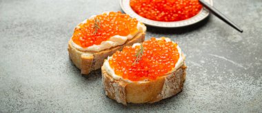 Kırmızı somon havyarlı küçük metal tabak ve iki havyar tostu gri beton arka planda kanepe, şenlikli lüks lezzet ve aperatif..