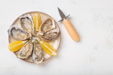 Limon dilimli bir tabağa yerleştirilmiş istiridye ve yanında istiridye bıçağı. Beyaz arka plan manzaralı deniz ürünleri sunumu.