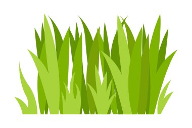 Yeşil Çim Çizimi. Yeşil çimenler, çiçekler, doğal sınırlar, otlar. İlkbahar, yaz, doğa, zemin, bitkiler için düz vektör çizimleri.