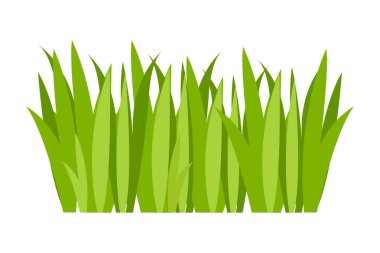 Yeşil Çim Çizimi. Yeşil çimenler, çiçekler, doğal sınırlar, otlar. İlkbahar, yaz, doğa, zemin, bitkiler için düz vektör çizimleri.