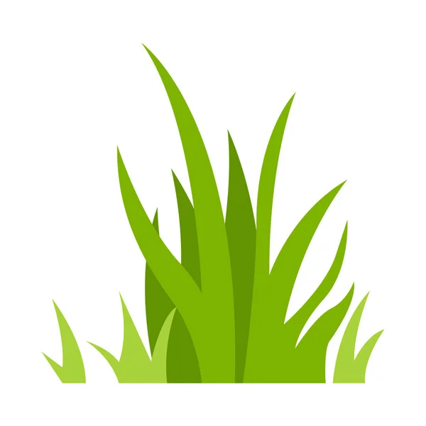 Herbe Verte Illustration Pelouse Verte Fleur Bordures Naturelles Herbes Illustrations — Image vectorielle