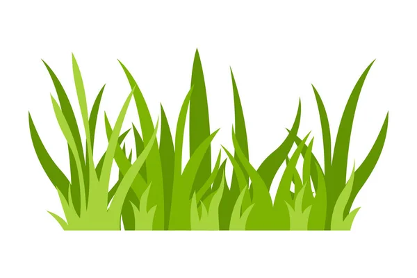 Πράσινο Γρασίδι Εικονογράφηση Πράσινο Γκαζόν Λουλούδι Φυσικά Σύνορα Βότανα Επίπεδες — Διανυσματικό Αρχείο