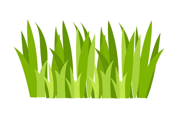 Grünes Gras Grüner Rasen Blumen Natürliche Grenzen Kräuter Flache Vektorillustrationen — Stockvektor