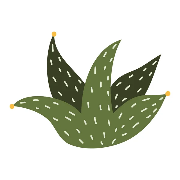 Kaktusz Zamatos Anyagok Vektorillusztráció Lapos Stílusban — Stock Vector