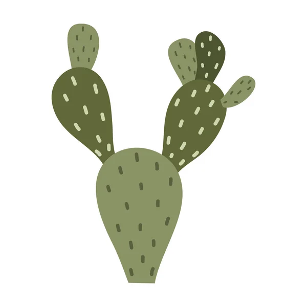 Cactus Suculentas Ilustración Vectorial Estilo Plano — Vector de stock