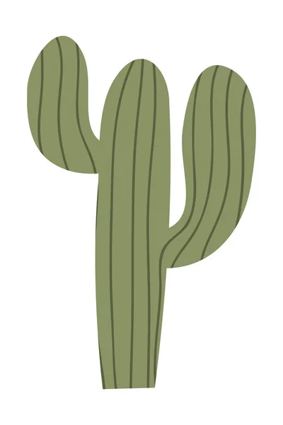 Cactus Suculentas Ilustración Vectorial Estilo Plano — Vector de stock