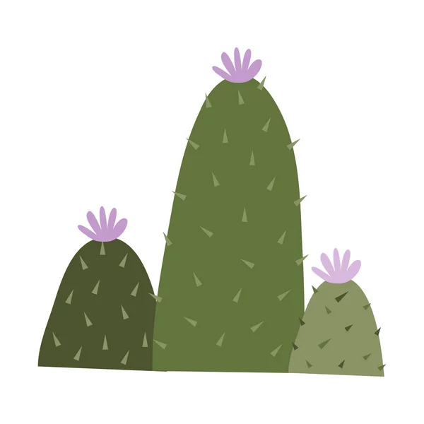 Kaktus Och Suckulenter Vektorillustration Platt Stil — Stock vektor