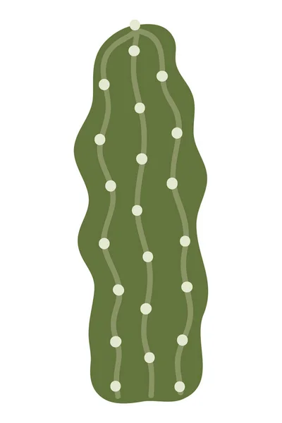 Kaktus Och Suckulenter Vektorillustration Platt Stil — Stock vektor