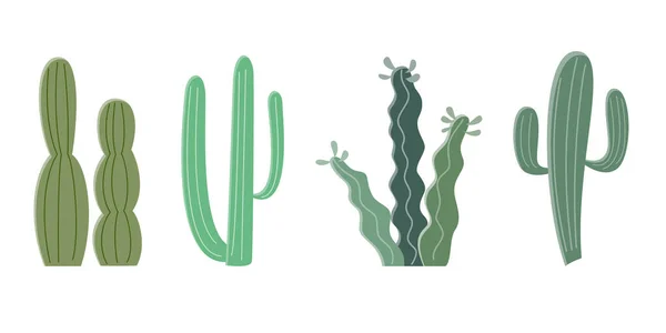 Kaktus Illustration Flad Stil Hvid Baggrund Home Planter Kaktus Illustration – Stock-vektor