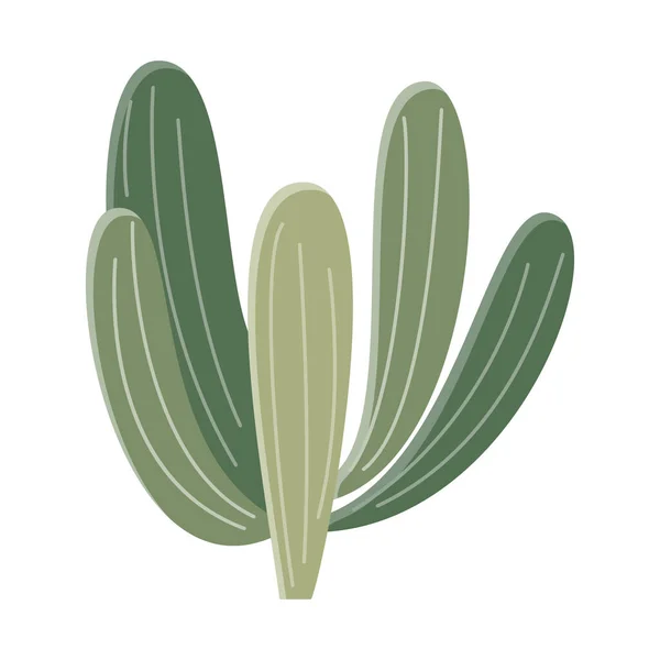 Kaktus Mengilustrasikan Dengan Gaya Datar Pada Latar Belakang Putih Ilustrasi - Stok Vektor