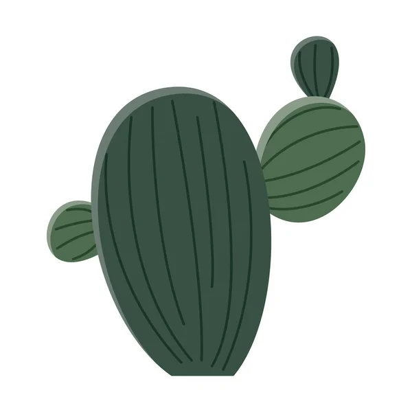 Cactus Illustration Flat Style White Background Home Plants Cactus Illustration — Stock Vector