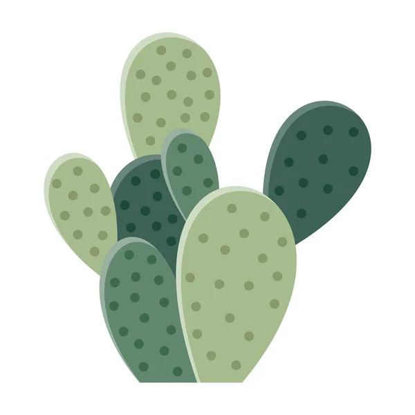 Kaktusová Ilustrace Plochém Stylu Bílém Pozadí Kaktusová Ilustrace Domácích Rostlin — Stockový vektor