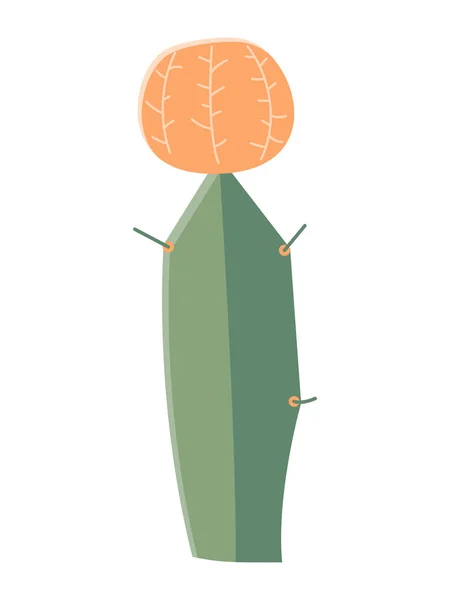 Cactus Ilustração Estilo Plano Sobre Fundo Branco Home Plantas Cacto —  Vetores de Stock