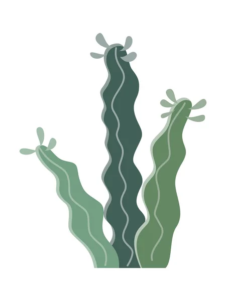 Cactus Illustratie Een Platte Stijl Een Witte Achtergrond Home Planten — Stockvector