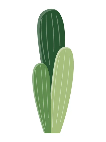 Kaktusová Ilustrace Plochém Stylu Bílém Pozadí Kaktusová Ilustrace Domácích Rostlin — Stockový vektor