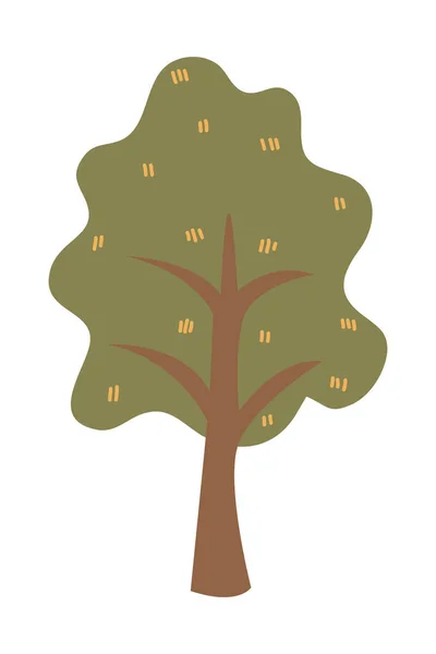 Мультяшна Ілюстрація Дерева Векторна Ілюстрація Осінніх Дерев Білому Тлі — стоковий вектор