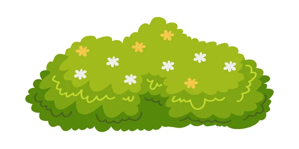 庭を美しく飾るためのブッシュのイラスト または緑のフェンスの装飾のための観賞用植物の低木 低木の厚い茂み 春と夏のカードデザインの葉 — ストックベクタ