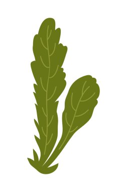 El Çizimi Daisy Flower Çizimi Çizimi. Beyaz arka planda basit bir çiçek. Vektör illüstrasyonu.